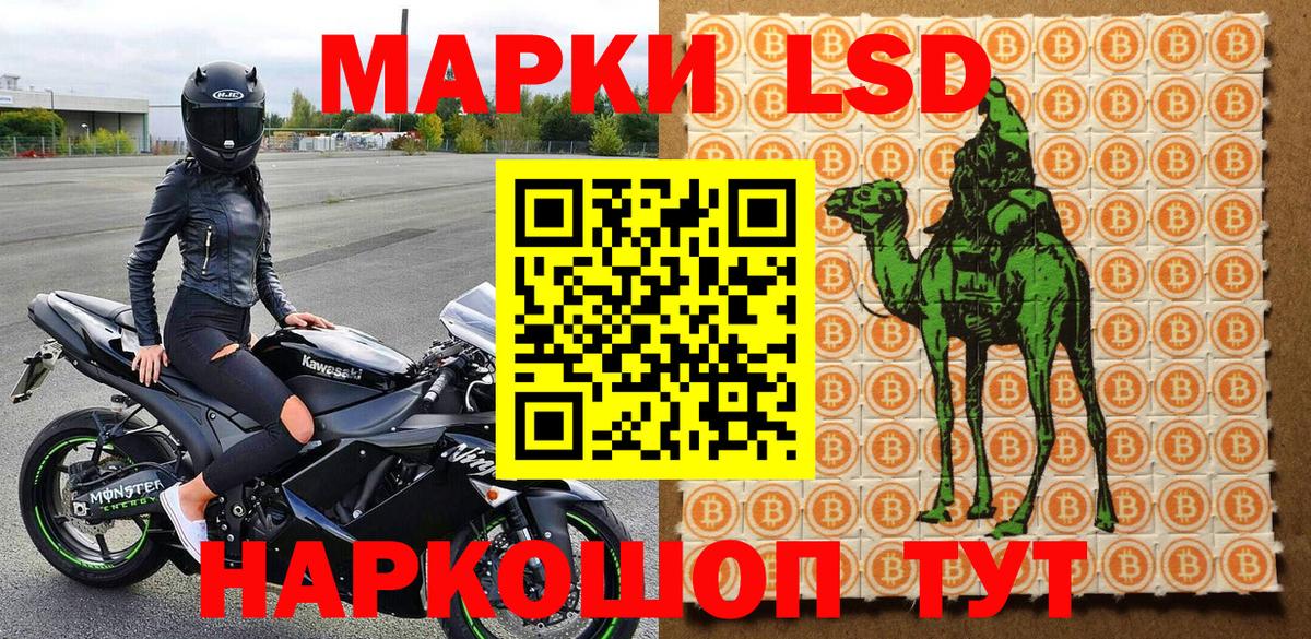 Наркотические марки 1500мкг Губкин