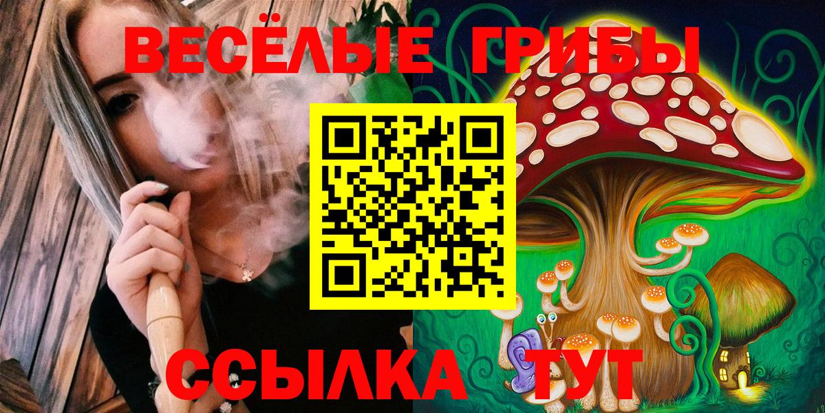 Псилоцибиновые грибы Psilocybine cubensis Губкин