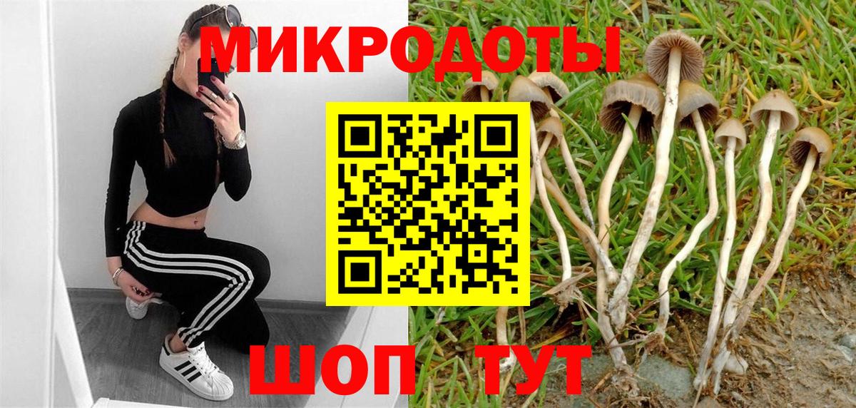 Губкин  Псилоцибиновые грибы Psilocybe  наркота  Вход с VPN 